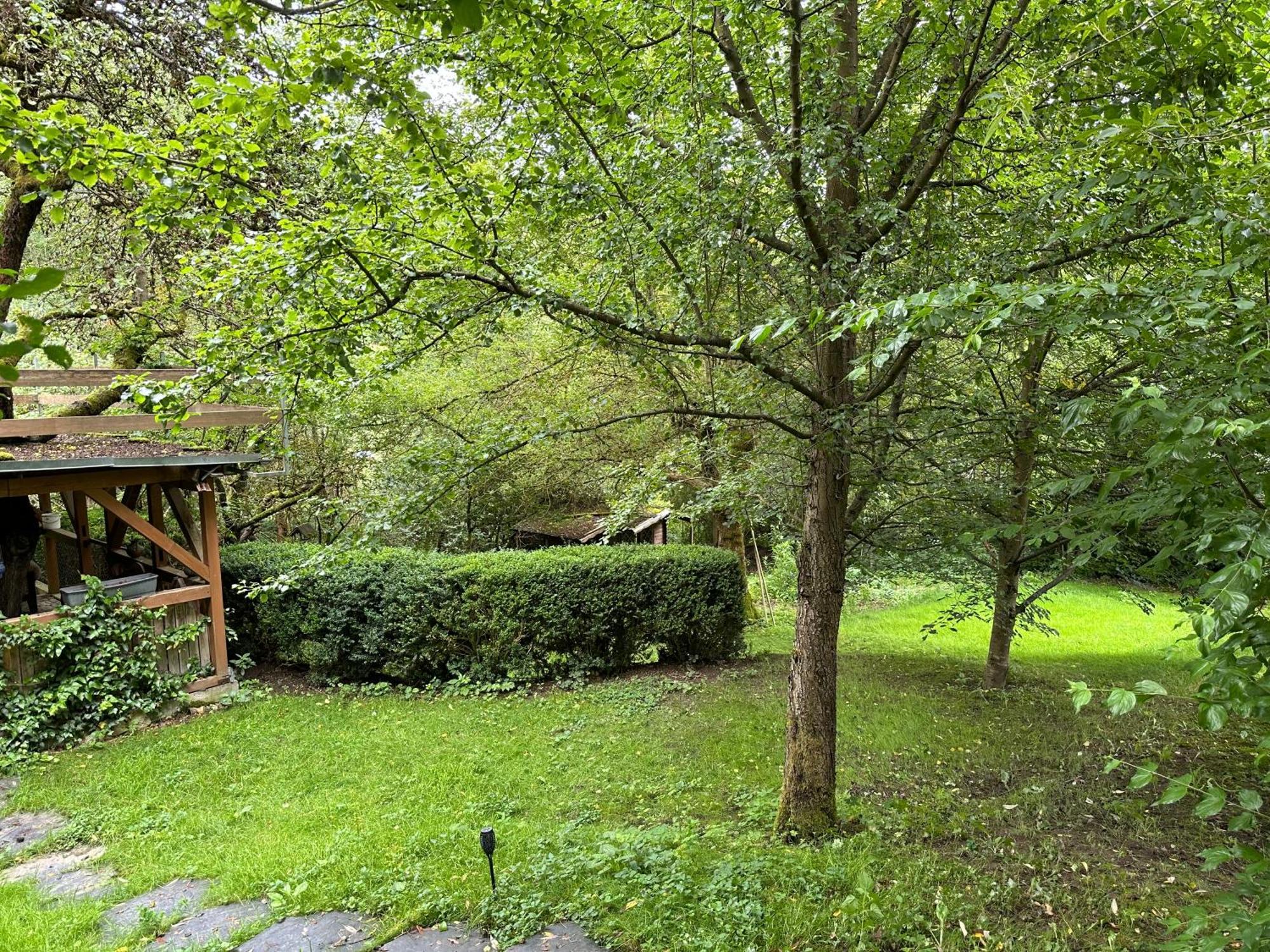 Gartenhaus - Dietzhaeuschen Suhl Kültér fotó